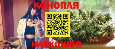 дурь Будённовск
