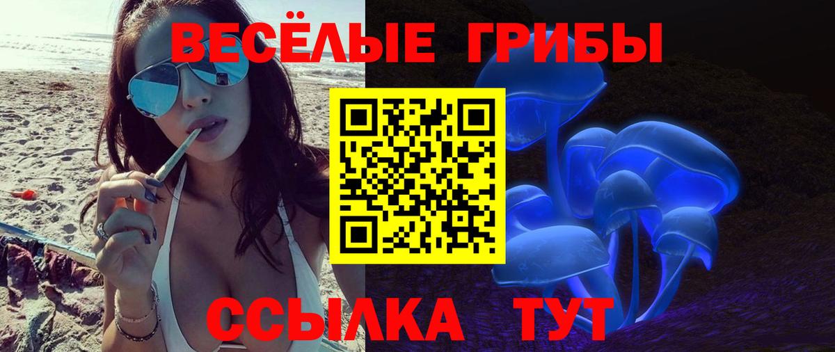 Галлюциногенные грибы ЛСД  Вход с VPN  Ногинск 